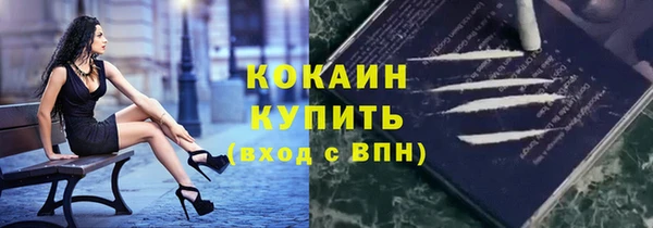 прущие крисы Бородино
