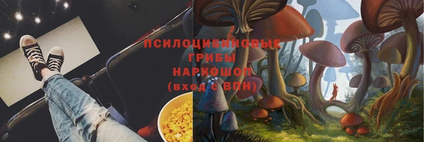 мяу мяу мука Верхний Тагил