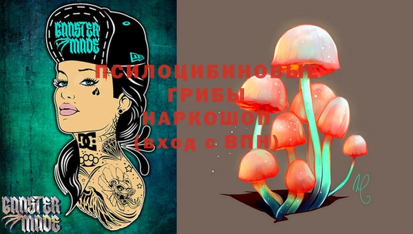 стафф Верея