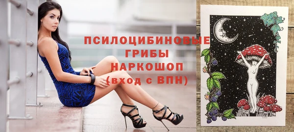 стаф Бронницы
