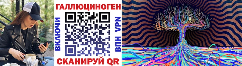 цена наркотик  Каргат  Псилоцибиновые грибы Psilocybe 