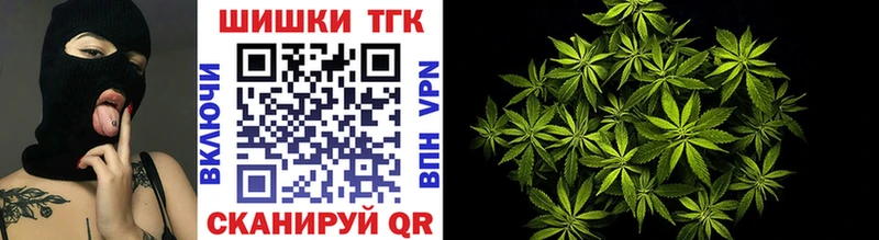 Каннабис SATIVA & INDICA Каргат
